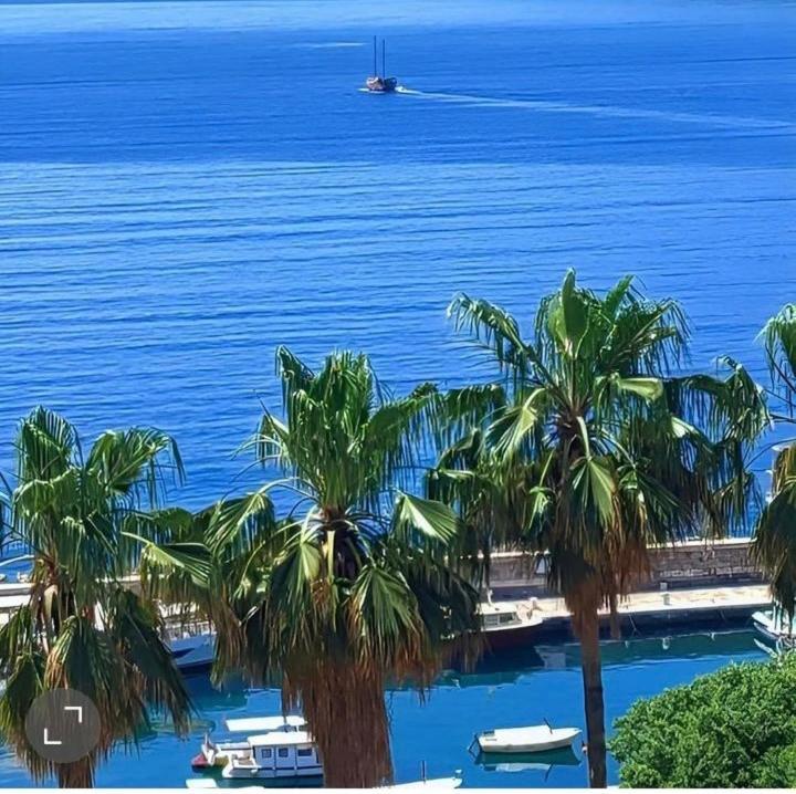 Apartment Tarita Herceg Novi Eksteriør billede